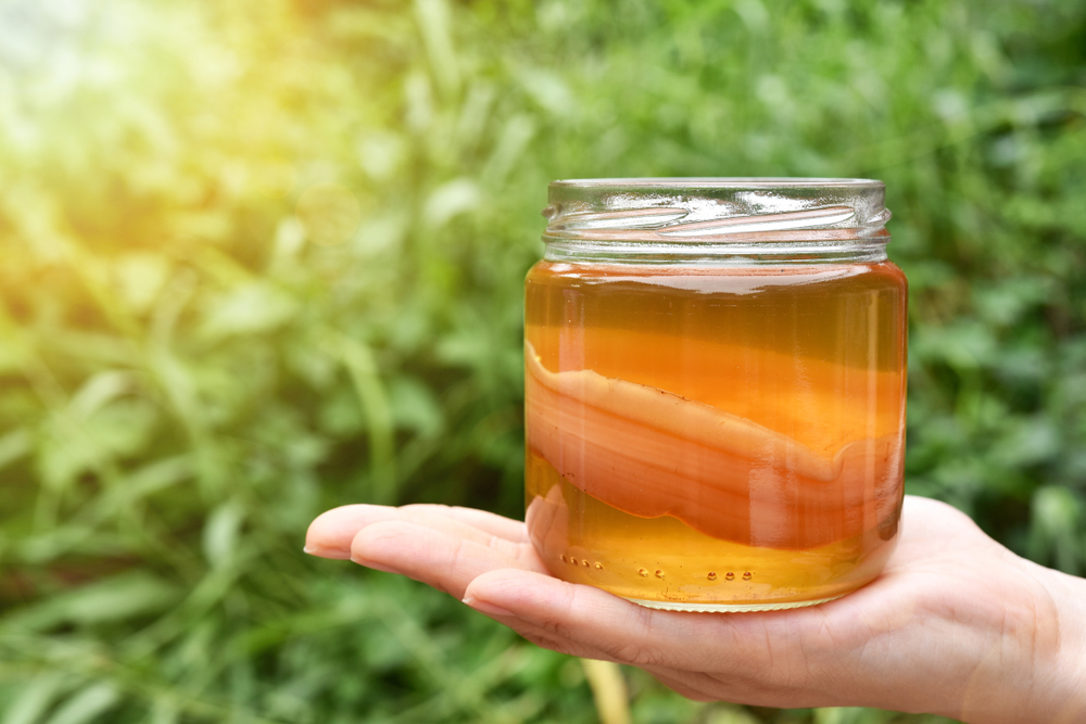  Trà Kombucha: Lợi ích và Rủi ro cho Phụ nữ Mang thai