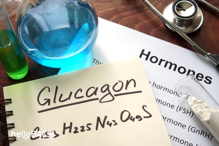  Xét nghiệm Glucagon: Hướng dẫn toàn diện