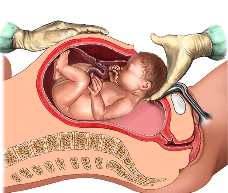  Những Quan Niệm Sai Lầm Khi Mang Thai: Sự Thật Đằng Sau Các Truyền Thuyết