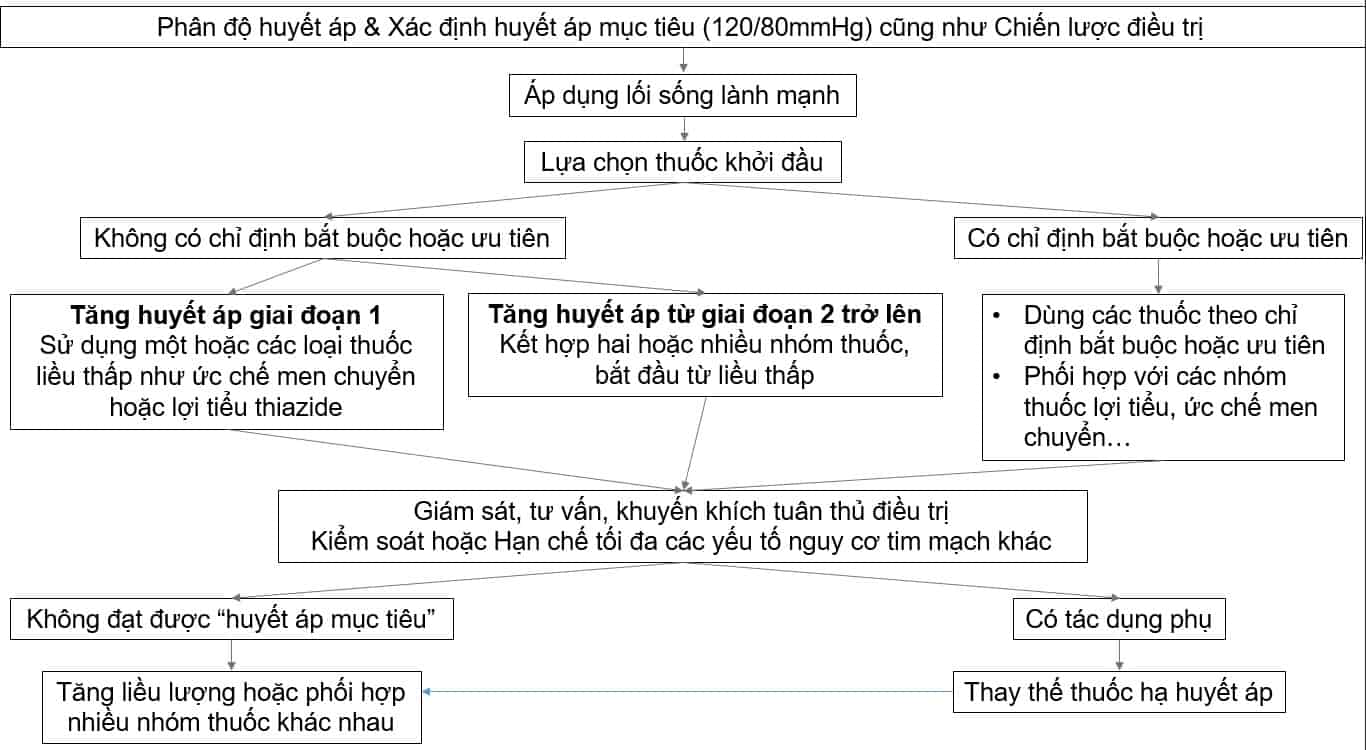  Phác Đồ Điều Trị Tăng Huyết Áp: Hướng Dẫn Toàn Diện