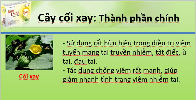  Ù Tai: Nguyên Nhân, Biểu Hiện và Phương Pháp Điều Trị Hiệu Quả