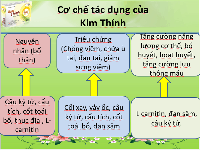  Ù Tai: Nguyên Nhân, Biểu Hiện và Phương Pháp Điều Trị Hiệu Quả