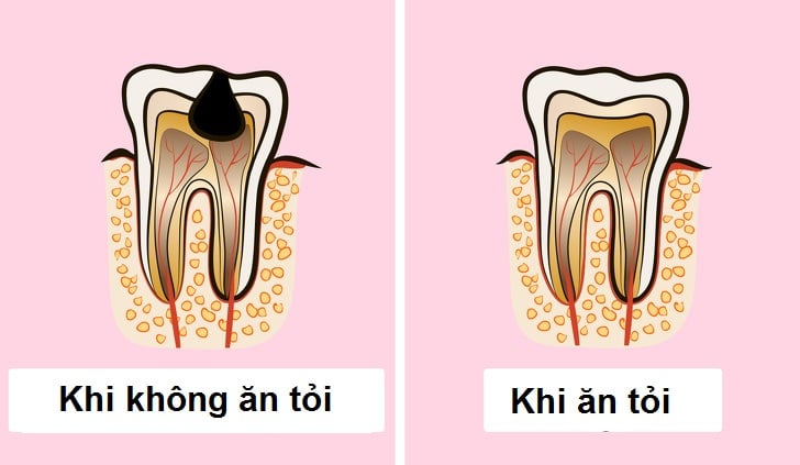  Tỏi: Siêu thực phẩm mang lại vô vàn lợi ích sức khỏe