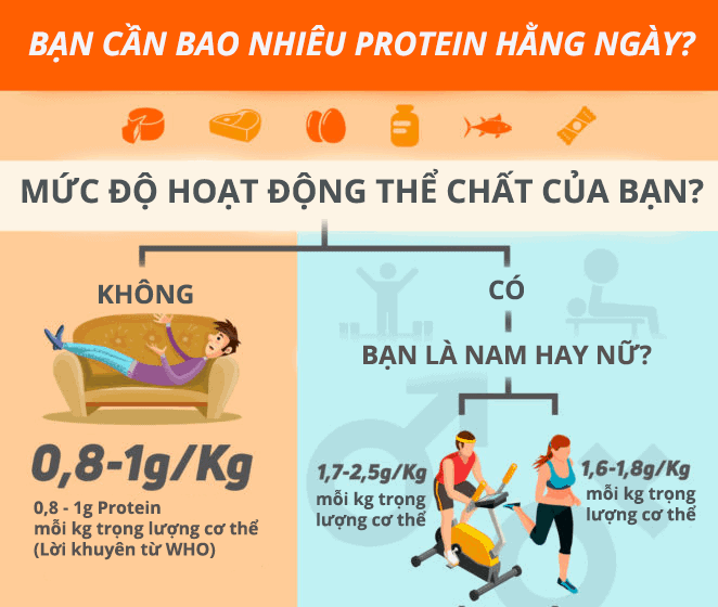  Xác định Nhu Cầu Protein Hàng Ngày: Hướng Dẫn Toàn Diện