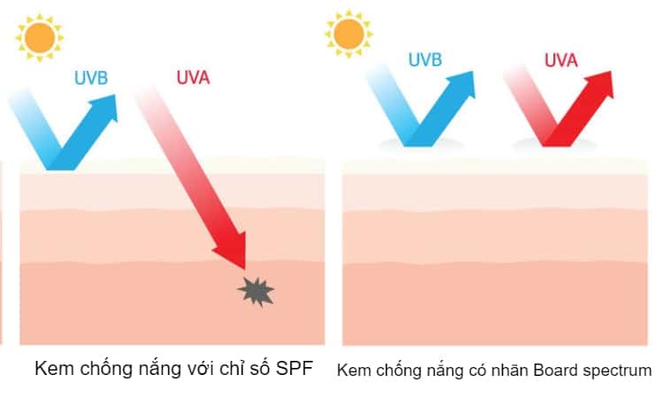  Kem Chống Nắng Cho Da Nhạy Cảm: Hướng Dẫn Chọn Lựa Hoàn Hảo