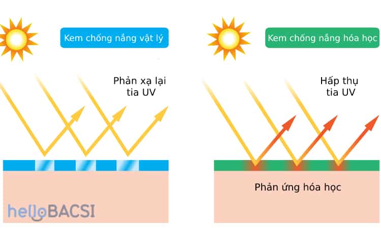  Kem Chống Nắng Cho Da Nhạy Cảm: Hướng Dẫn Chọn Lựa Hoàn Hảo