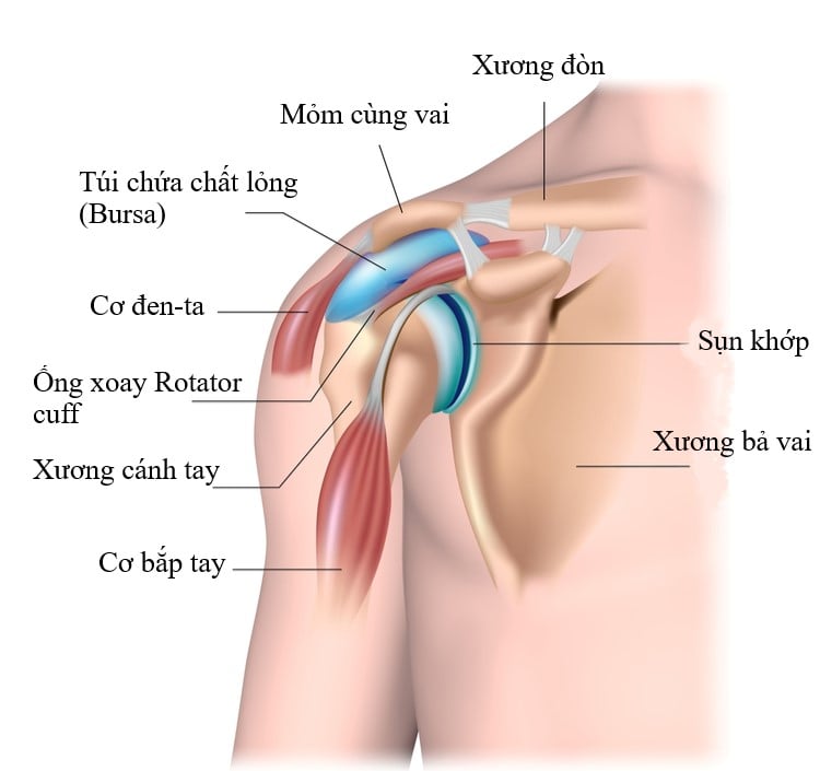  Hội chứng Rotator Cuff: Nguyên nhân, Triệu chứng và Phương pháp Điều trị