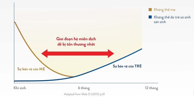  Phát triển trí não ở trẻ nhỏ: Chìa khóa vàng cho tiềm năng tương lai