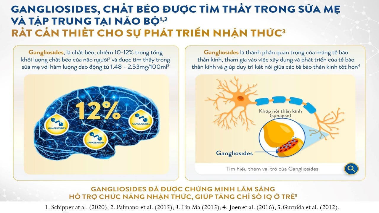  Phát triển trí não ở trẻ nhỏ: Chìa khóa vàng cho tiềm năng tương lai