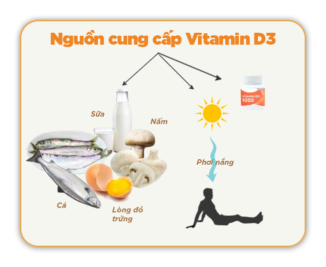  Tăng cường Hệ Miễn dịch: 3 Vitamin Cốt lõi Bạn Cần Biết