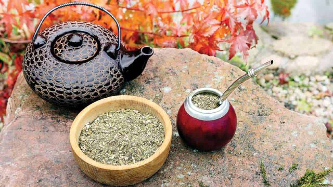  Trà Yerba Mate: Một Nguồn Năng Lượng Tự Nhiên với Lợi Ích Sức Khỏe Đáng Kinh Ngạc