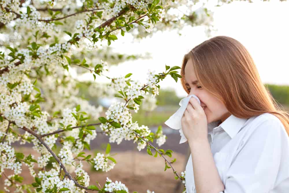  Fexofenadine: Một Thuốc Chống Dị Ứng Hiệu Quả và An Toàn