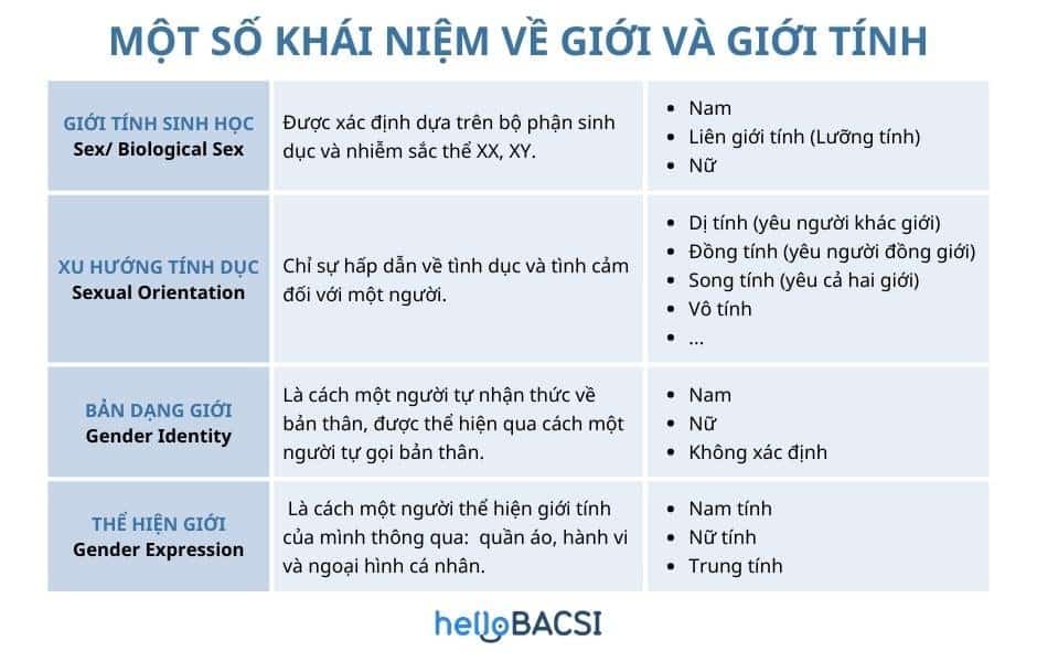  Pansexuality: Một Hướng Dẫn Toàn Diện Về Định Nghĩa, Sự Khác Biệt và Những Lầm Tưởng