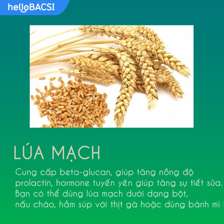  Ngũ cốc lợi sữa: Siêu thực phẩm giúp mẹ nhiều sữa cho con bú