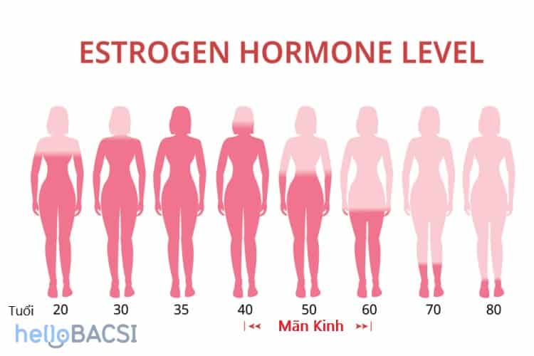  Vai trò của Nội Tiết Tố Đối với Làn Da: Hướng Dẫn Chăm Sóc Da Theo Từng Giai Đoạn