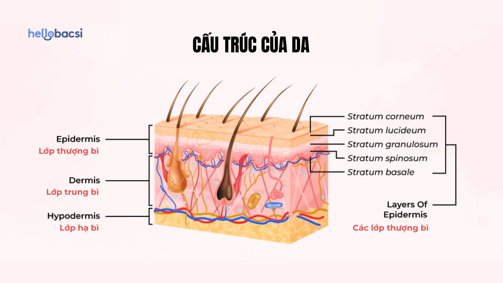  Nám Chân Sâu: Nguyên Nhân, Dấu Hiệu và Phương Pháp Điều Trị Hiệu Quả