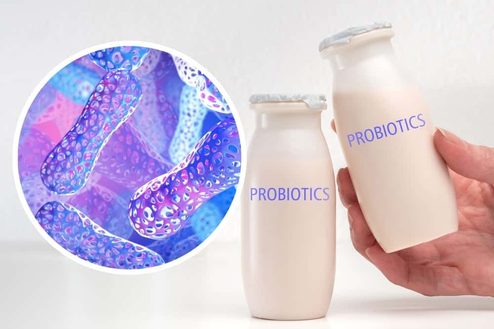  Probiotic: Lợi khuẩn thiết yếu cho sức khỏe đường ruột và toàn thân