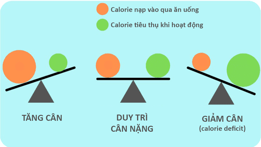  Thâm hụt calo: Hướng dẫn toàn diện về cách giảm cân hiệu quả