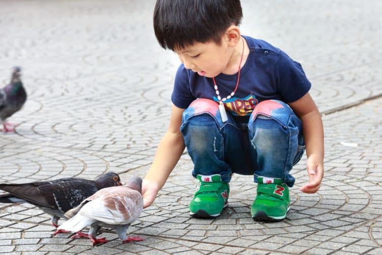  Viết Thư Cho Con: Một Hành Trình Nuôi Dưỡng Tình Cảm Gia Đình Và Ghi Dấu Kỷ Niệm