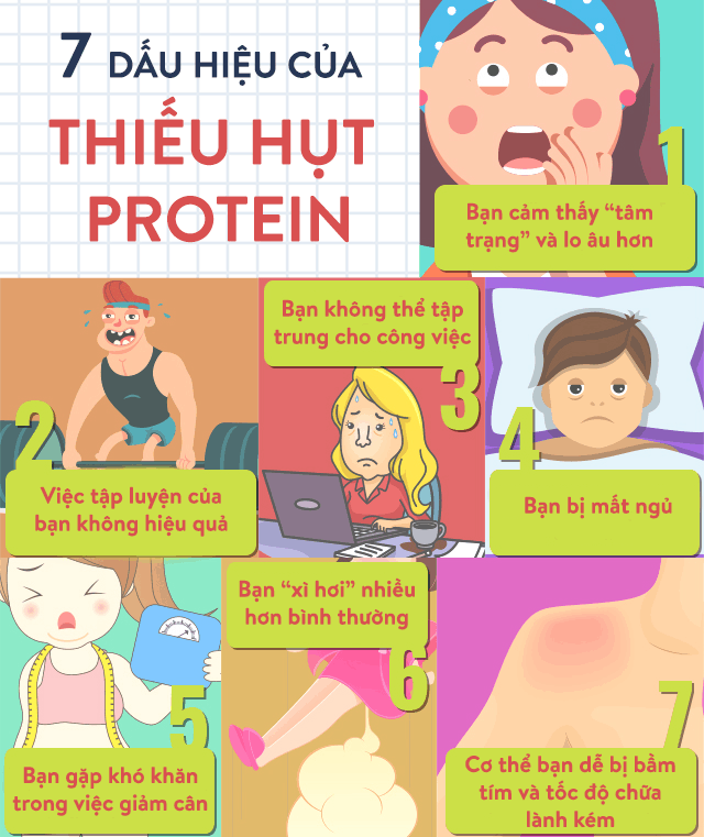  Protein: Khối Xây Dựng Thiết Yếu Cho Sức Khỏe Con Người