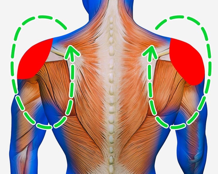  Bài tập hiệu quả giúp xoa dịu cơn đau vai gáy nhanh chóng