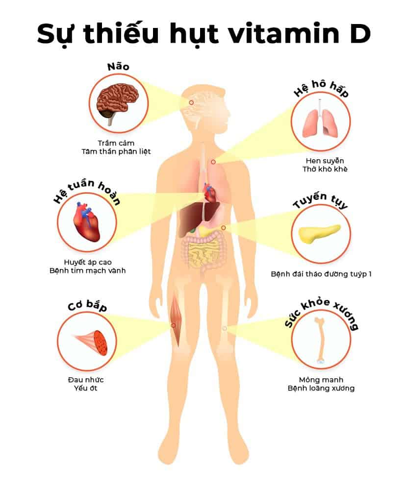  Bổ sung Vitamin D cho Trẻ Tuổi Teen: Hướng dẫn toàn diện