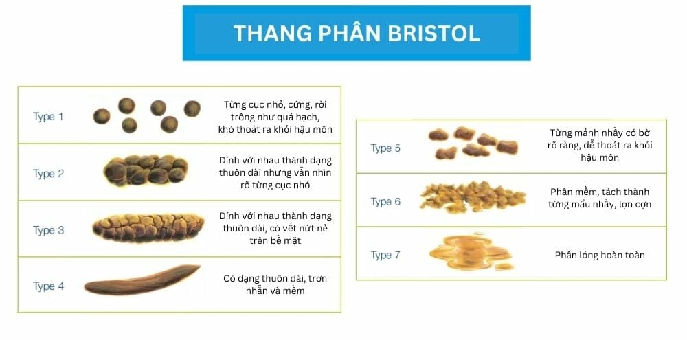  Đặc điểm của phân: Chỉ số sức khỏe đường ruột