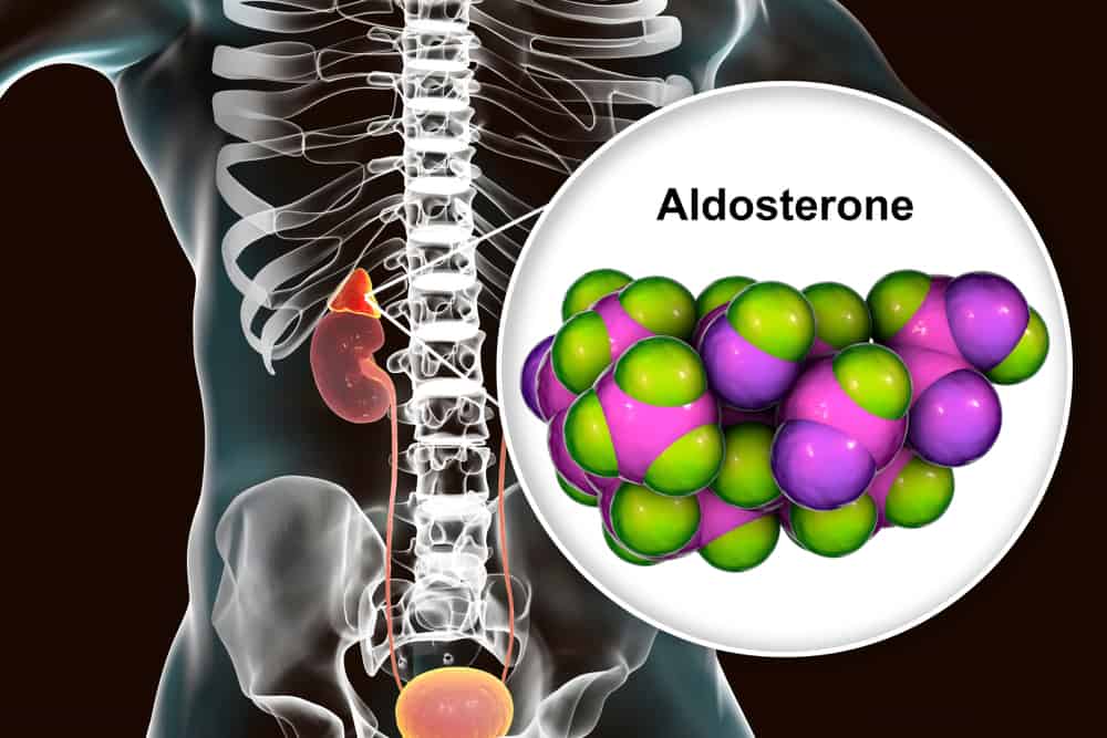  Xét nghiệm Aldosterone: Tổng quan, Quy trình và Giải thích Kết quả