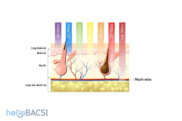  Liệu pháp Ánh sáng Sinh học: Giải pháp An toàn và Hiệu quả để Điều trị Mụn và Chống Lão hóa