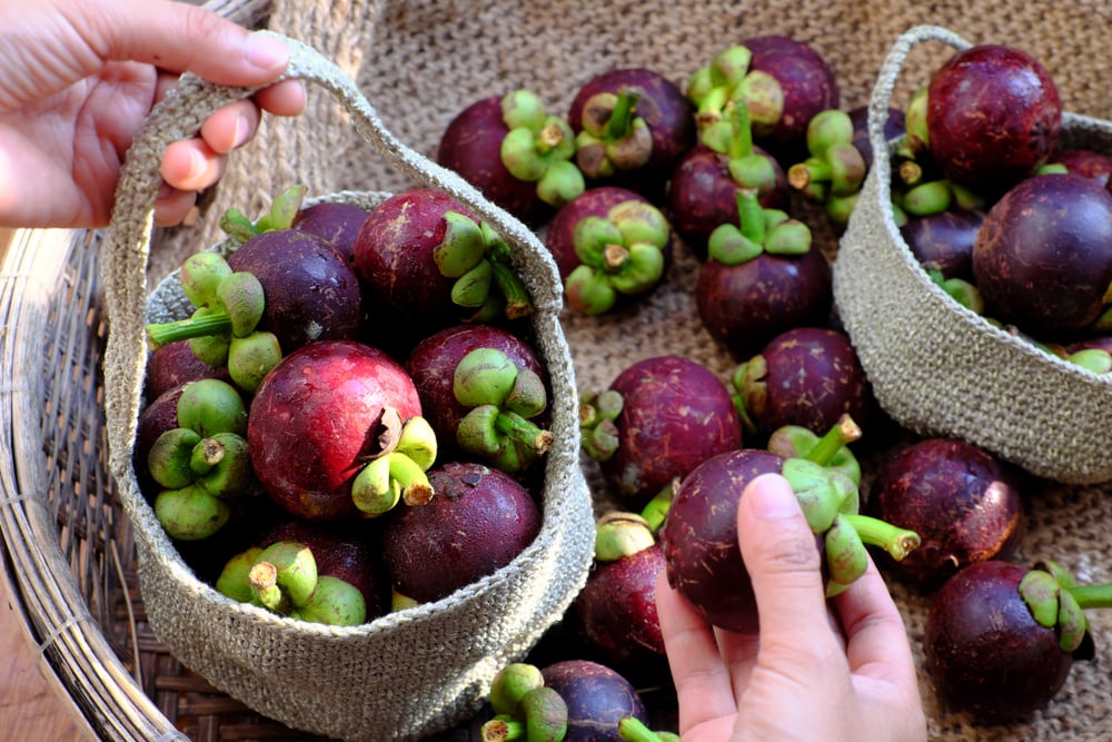  Măng Cụt: Siêu Trái Cây Giàu Dinh Dưỡng, Không Làm Tăng Cân