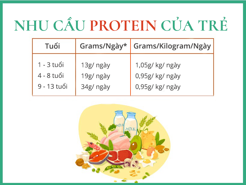  Hướng dẫn toàn diện về nhu cầu protein và nguồn thực phẩm giàu protein cho trẻ