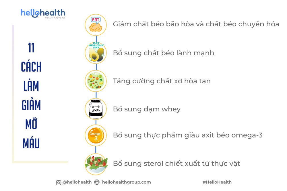  Giảm Mỡ Máu Hiệu Quả trong 6 Tuần: 11 Cách Chuyên Gia Khuyên Dùng