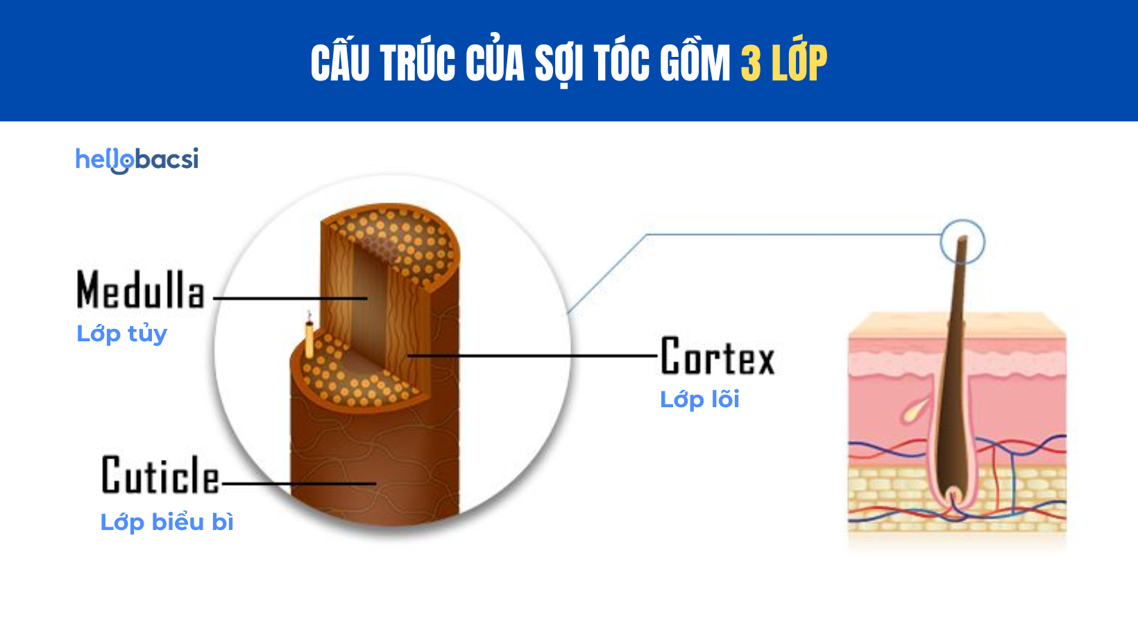  Hướng dẫn Chi tiết: 7 Cách Làm Tóc Đen Trở Lại Sau Khi Nhuộm