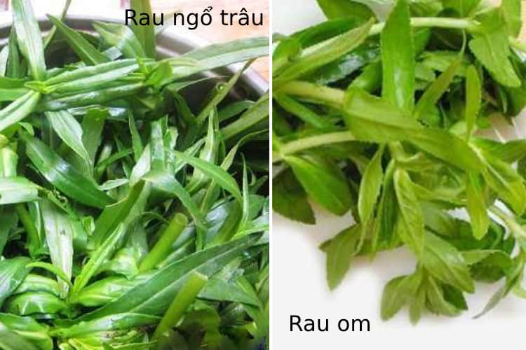  Bệnh Viêm Thận Mủ: Nguyên Nhân, Triệu Chứng, Chẩn Đoán và Điều Trị