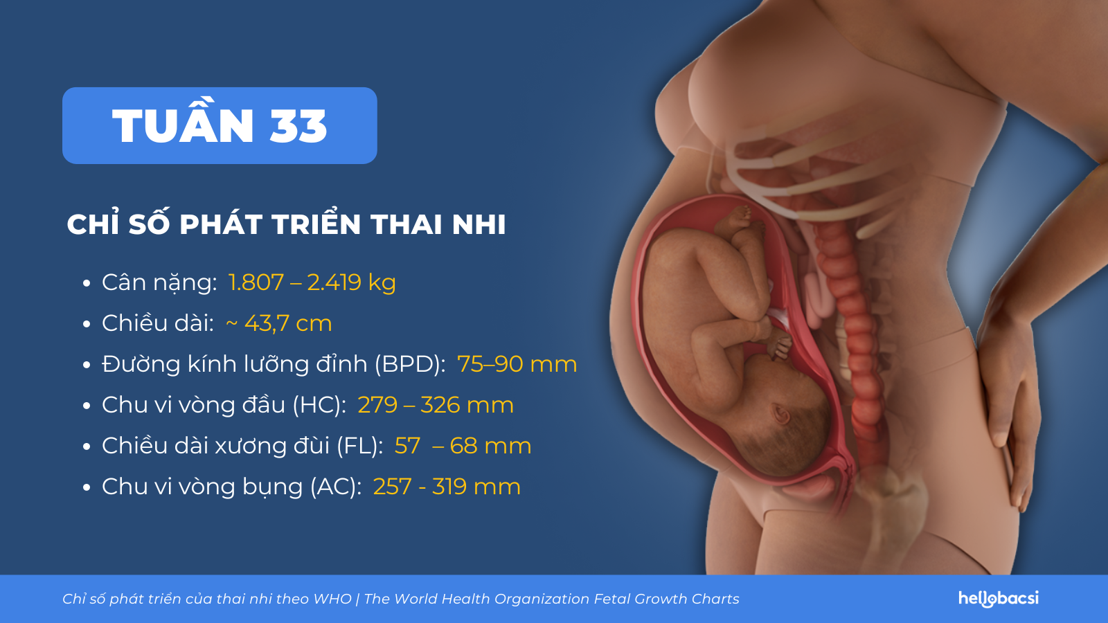  Phát triển Thai Nhi Tuần 33: Những Thay Đổi Quan Trọng và Lời Khuyên Cho Mẹ Bầu