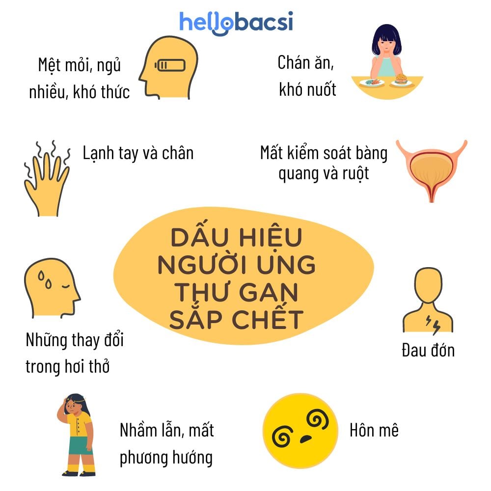  Hướng dẫn toàn diện về những dấu hiệu báo trước cái chết của bệnh nhân ung thư gan giai đoạn cuối