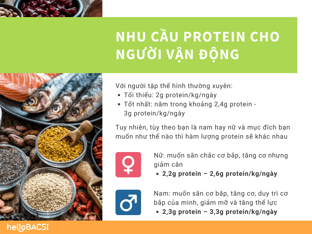  Casein và Whey Protein: Những thành phần thiết yếu cho cơ bắp