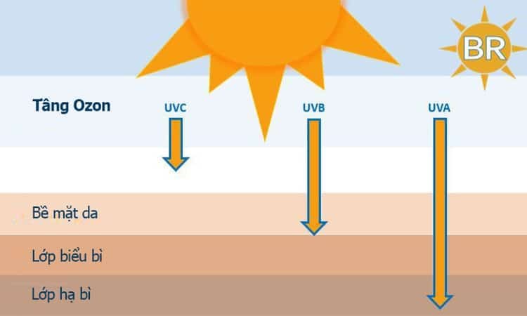  Những tác nhân gây lão hóa da và vai trò của Methylene Blue