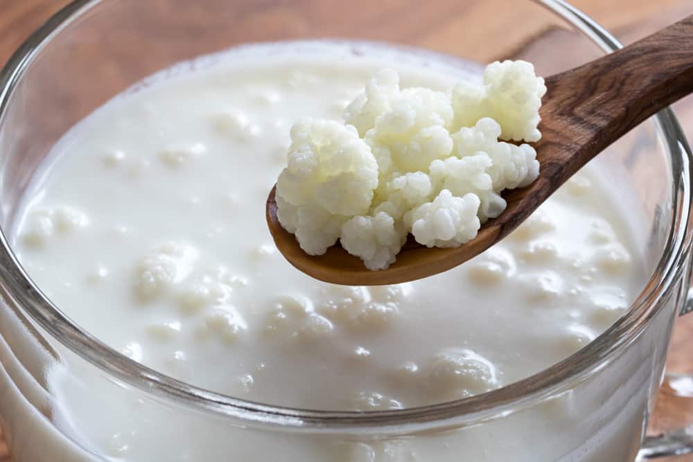  Nấm Kefir: Siêu thực phẩm probiotics cho sức khỏe đường ruột và hơn thế nữa