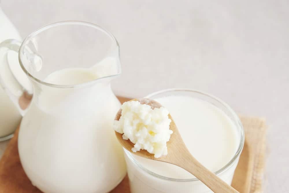  Nấm Kefir: Siêu thực phẩm probiotics cho sức khỏe đường ruột và hơn thế nữa