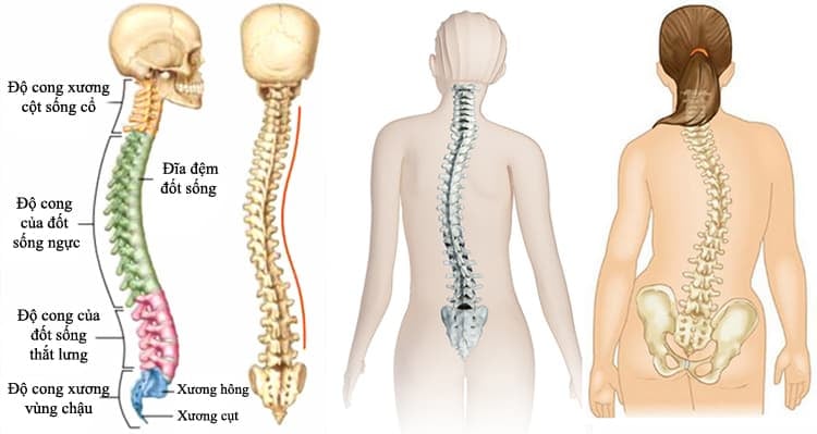  Đau lưng ở trẻ em: Nguyên nhân, triệu chứng và cách xử trí