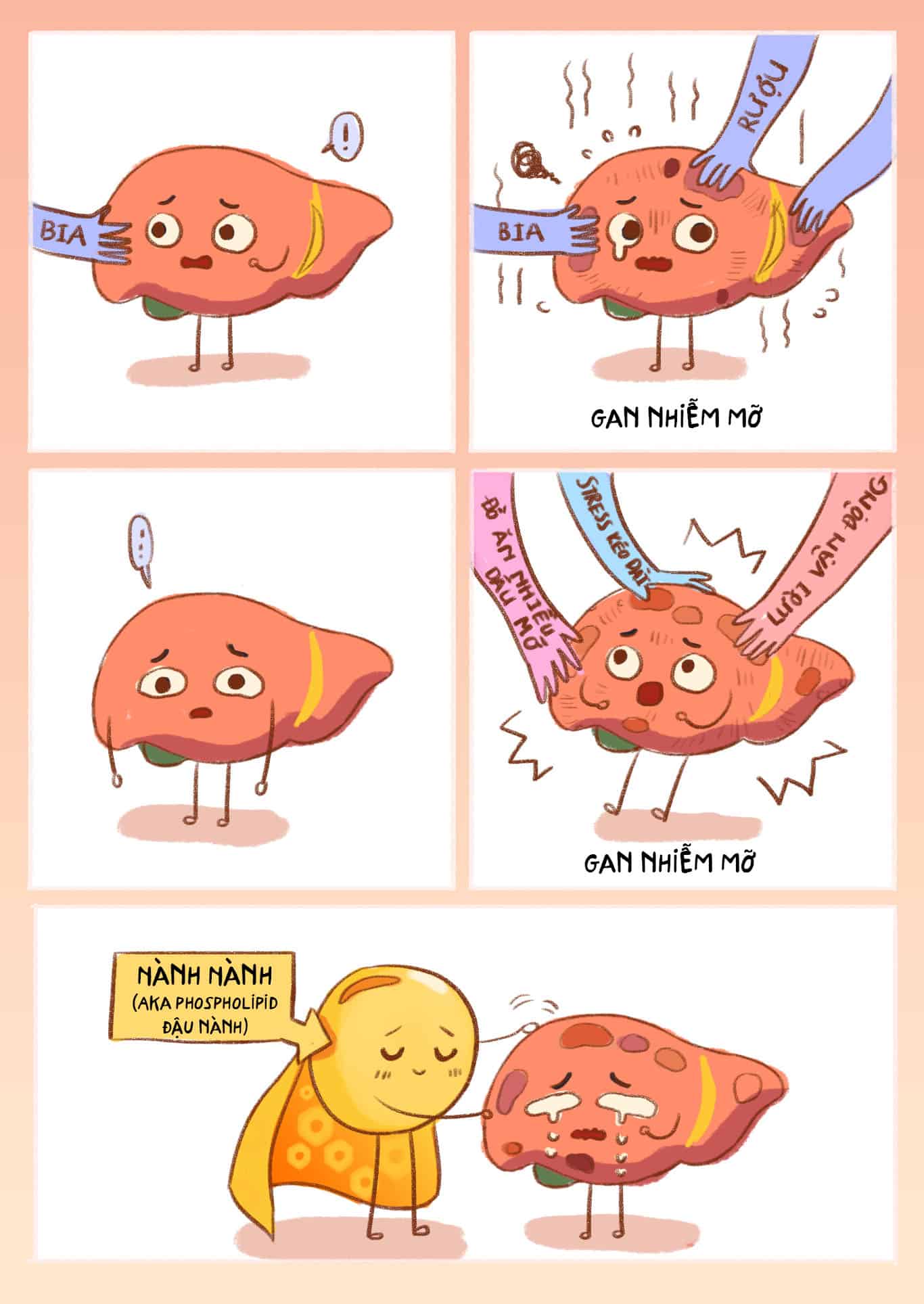  Bệnh Gan: Những Hiểu Lầm Thường Gặp và Hướng Dẫn Bảo Vệ Sức Khỏe Gan